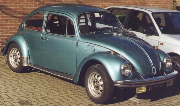 Standard model Marathon Beetle